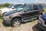 2006 Ford Escape XLT